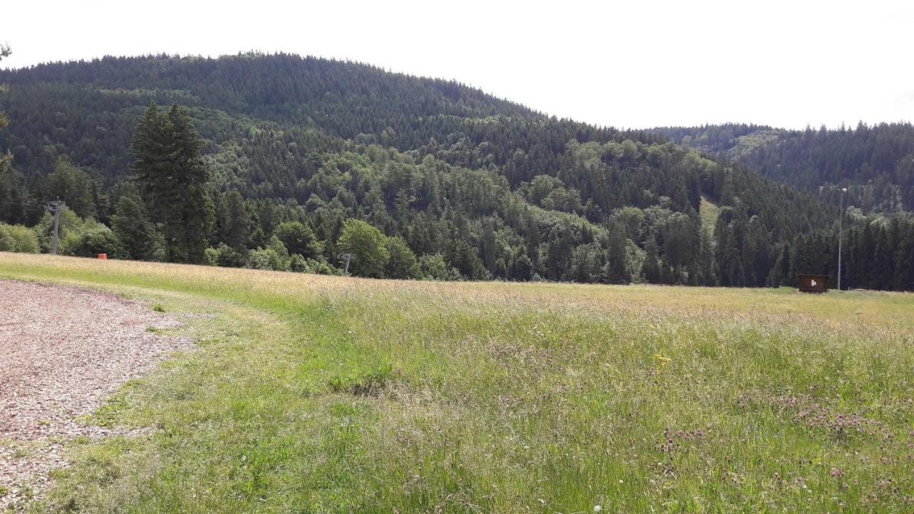Ferienwohnung Bergwiese Schwarzenbach am Wald Exterior foto
