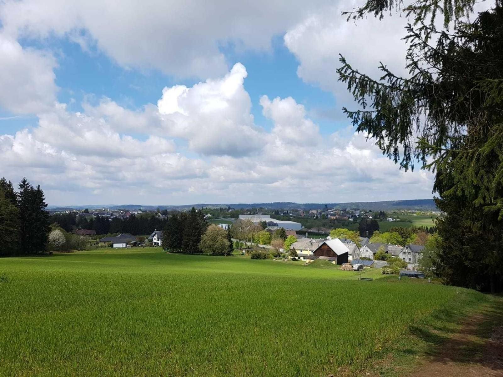 Ferienwohnung Bergwiese Schwarzenbach am Wald Exterior foto
