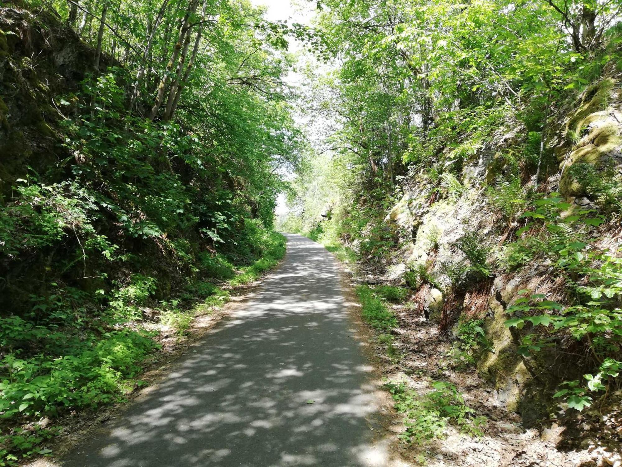 Ferienwohnung Bergwiese Schwarzenbach am Wald Exterior foto